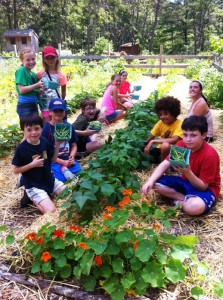 Farm-based activities