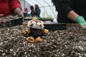 1004528_688696247839846_1670305641_n