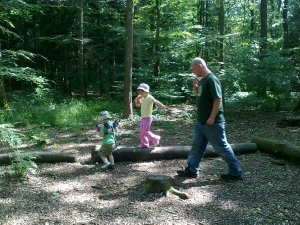 kids forest