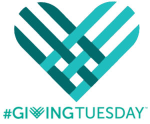 giving_tuesday_2016_cause_page